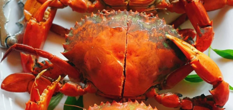 Thực đơn món ăn